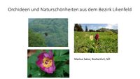 Orchideen und Natursch&ouml;nheiten aus dem Bezirk Lilienfeld