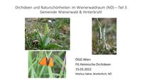 Orchideen und Natursch&ouml;nheiten Gemeinde Wienerwald und Hinterbr&uuml;hl